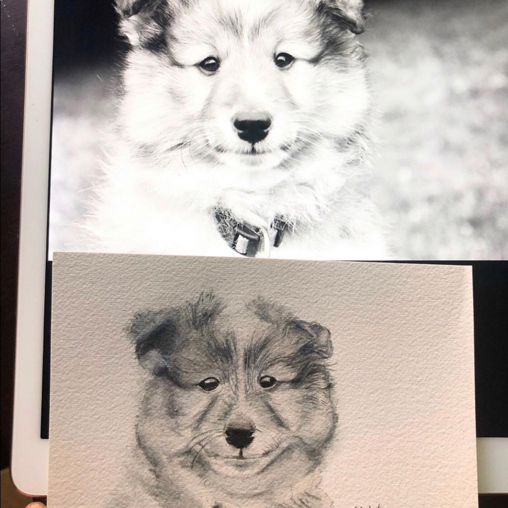 Custom pet/human portrait